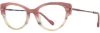 Picture of Scott Harris Eyeglasses SH-876