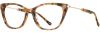 Picture of Cinzia Eyeglasses CIN-5162