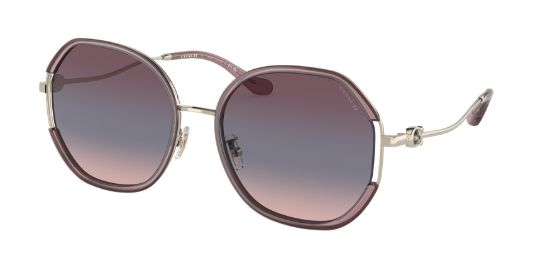 Picture of Coach Sunglasses HC7144BD