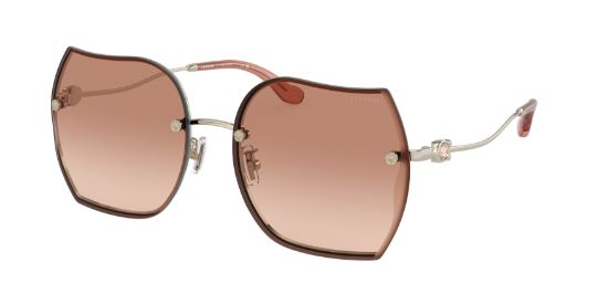 Picture of Coach Sunglasses HC7146BD