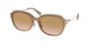 Picture of Coach Sunglasses HC8332D