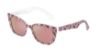 Picture of Dolce & Gabbana Sunglasses DX4427