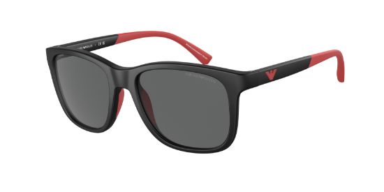 Picture of Emporio Armani Sunglasses EK4184F