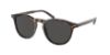 Picture of Polo Sunglasses PH4181F