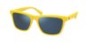 Picture of Polo Sunglasses PH4167F