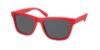 Picture of Polo Sunglasses PH4167F