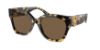 Picture of Ralph Lauren Sunglasses RL8221