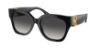 Picture of Ralph Lauren Sunglasses RL8221