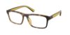 Picture of Polo Eyeglasses PH2274U