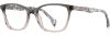 Picture of State Optical Eyeglasses Caldwell