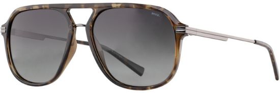 Picture of INVU Sunglasses INVU- 293