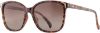 Picture of INVU Sunglasses INVU- 295