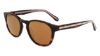 Picture of Spyder Sunglasses SP6045