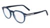 Picture of Salvatore Ferragamo Eyeglasses SF2955N