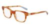 Picture of Shinola Eyeglasses SH15003