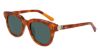 Picture of Shinola Sunglasses SH1501S