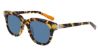 Picture of Shinola Sunglasses SH1501S
