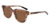 Picture of Shinola Sunglasses SH1501S