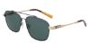 Picture of Shinola Sunglasses SH2100S