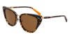 Picture of Shinola Sunglasses SH2700S