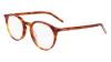 Picture of Zeiss Eyeglasses ZS22501