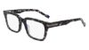 Picture of Zeiss Eyeglasses ZS22522