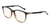 Picture of Zeiss Eyeglasses ZS22524