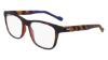 Picture of Zeiss Eyeglasses ZS22526