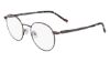 Picture of Zeiss Eyeglasses ZS23141