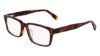 Picture of Salvatore Ferragamo Eyeglasses SF3000LB