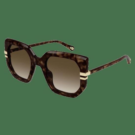 Picture of Chloe Sunglasses CH0240S