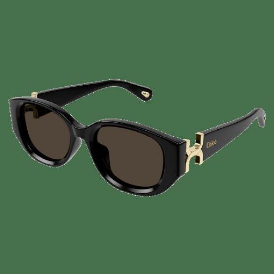 Picture of Chloe Sunglasses CH0237SK