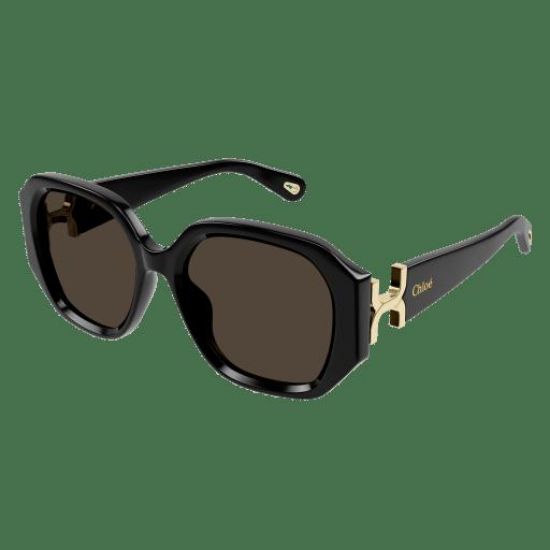 Picture of Chloe Sunglasses CH0236S