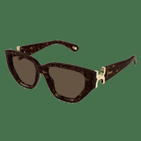 Picture of Chloe Sunglasses CH0235S