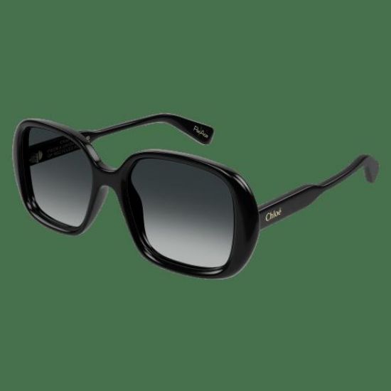 Picture of Chloe Sunglasses CH0222S