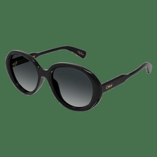 Picture of Chloe Sunglasses CH0221S