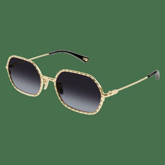 Picture of Chloe Sunglasses CH0231S