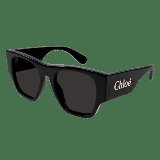 Picture of Chloe Sunglasses CH0233S