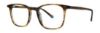 Picture of Penguin Eyeglasses THE DAVIS