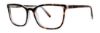 Picture of Vera Wang Eyeglasses V714