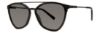 Picture of Vera Wang Sunglasses V612