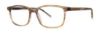 Picture of Paradigm Eyeglasses Shaun