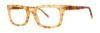 Picture of Paradigm Eyeglasses Nicholson