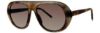 Picture of Paradigm Sunglasses Bodhi