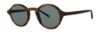 Picture of Paradigm Sunglasses Soli Sun