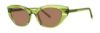 Picture of Paradigm Sunglasses Bianca