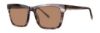 Picture of Paradigm Sunglasses Keaton Sun