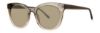 Picture of Paradigm Sunglasses Nicks