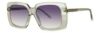 Picture of Paradigm Sunglasses Ross