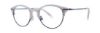 Picture of Penguin Eyeglasses The Dawson A-Fit